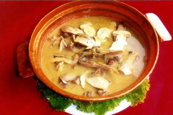 新鲜松茸老鸭汤的做法，功效作用与食用禁忌