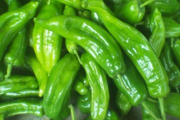 新鲜松茸炒青椒的营养价值和功效作用