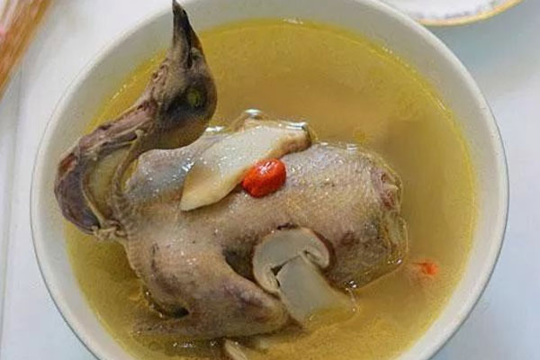 新鲜松茸鸽子汤的做法，生病的人能喝吗