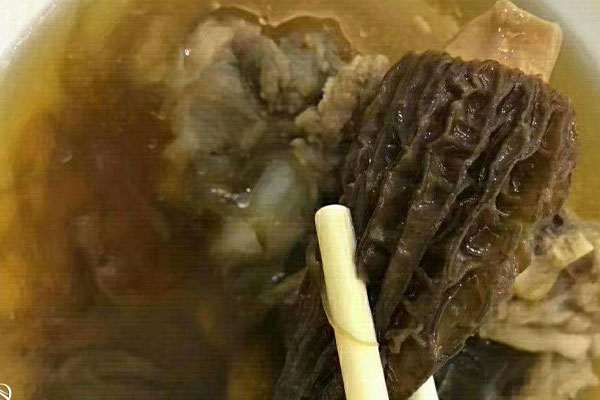 羊肚菌鸽子汤的功效作用与营养价值