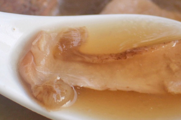 干牛肝菌骨头汤的食用禁忌
