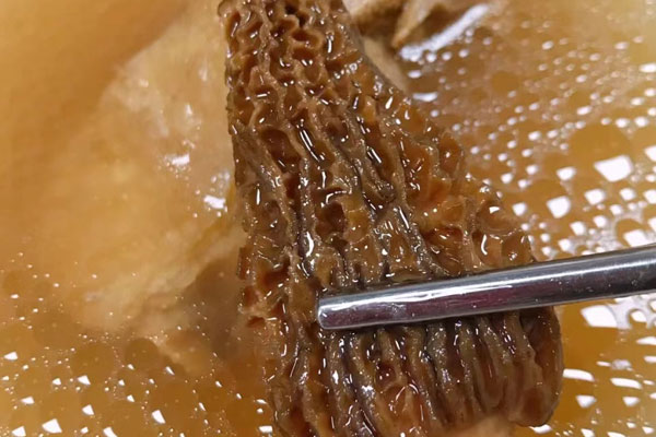 羊肚菌排骨薏米汤的做法