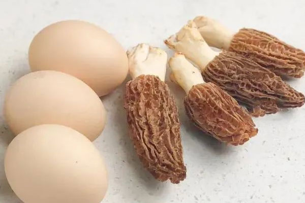 羊肚菌枸杞蒸蛋的食用禁忌