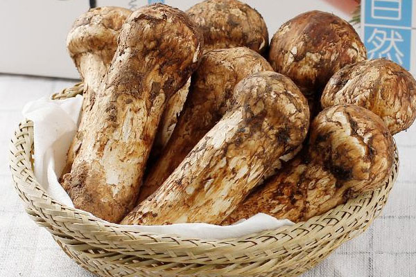 松茸奶油蘑菇汤的营养价值