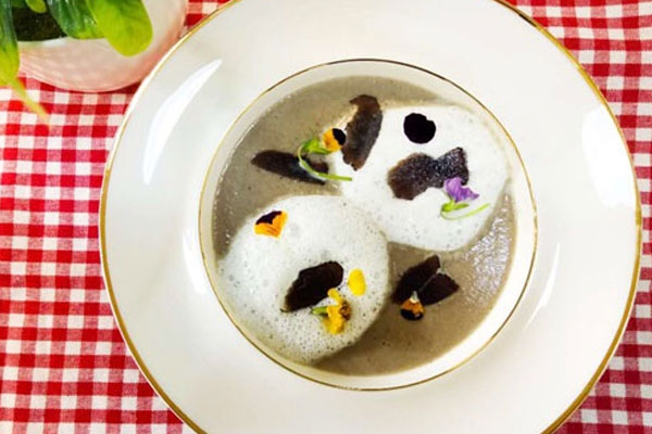 黑松露茶树菇奶泡汤的做法，有哪些营养价值