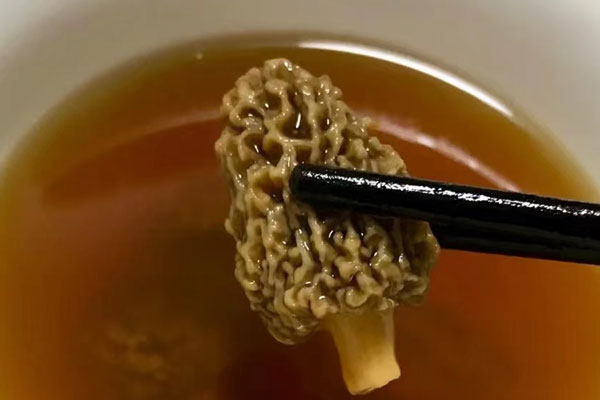 羊肚菌茯苓枸杞汤怎么做好吃