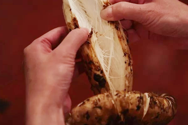 松茸开花了还能吃吗，松茸和松树伞蘑菇是一样的吗