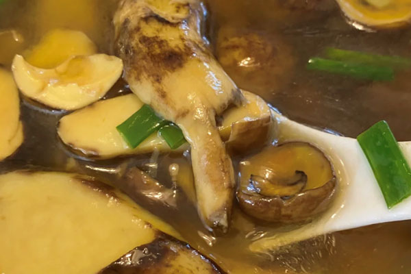 牛肝菌汤用热水煮还是冷水煮好